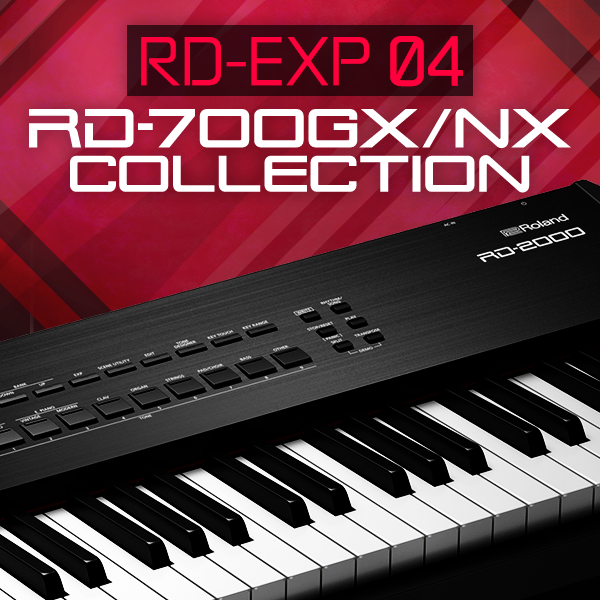 RD-EXP04 | RD-2000 | Axial